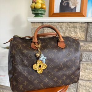 Louis Vuitton Speedy 30